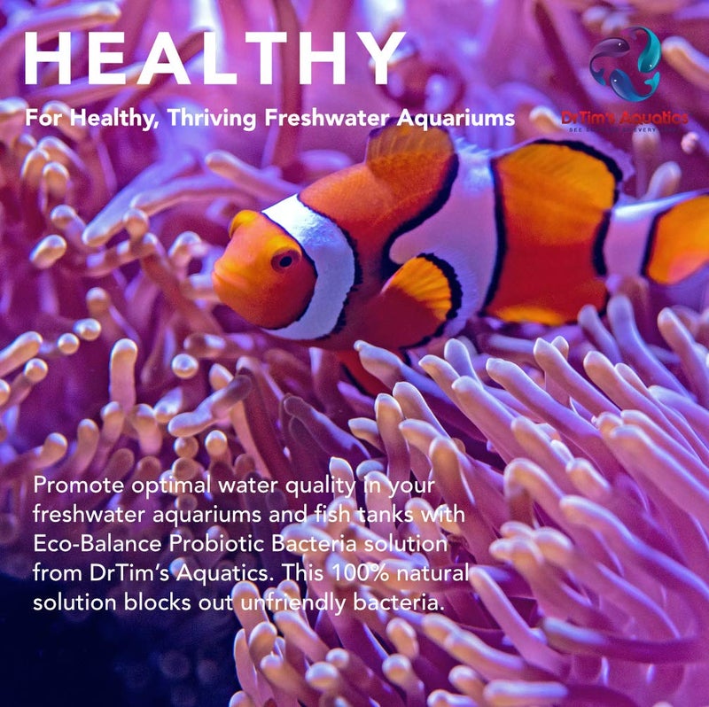DrTim's Aquatics Dr.Timâ€™s Aquatics Freshwater Eco-Balance Probiotic Bacteria â€“ For Freshwater Aquaria, Fish Tanks, Aquariums â€“ Blocks Unfriendly Bacteria, Promotes Optimal Water Quality â€“ 100% Natural â€“ 480 Gallons - Image 3